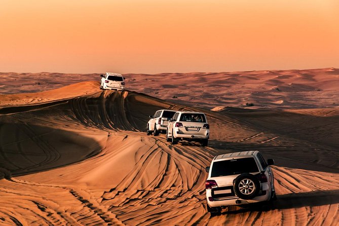 Premium Desert Safari - Unique Experience Highlights