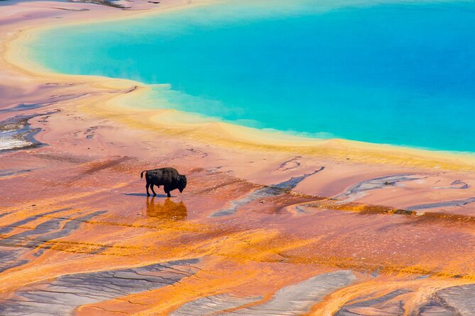 Private 2-Day Yellowstone Tour Review - Pickup and Meeting Details