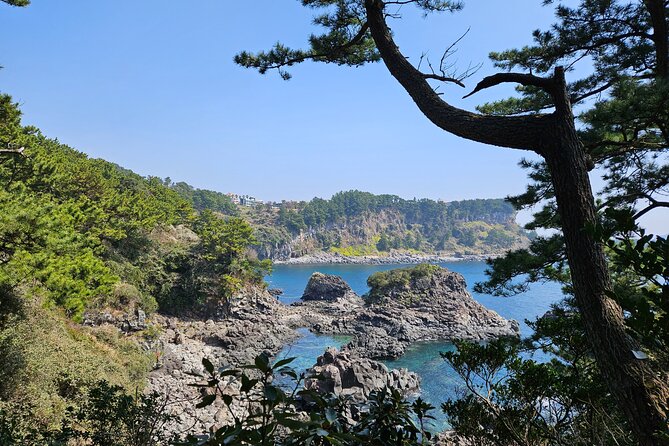 Private 2DAYS Tour a Lot of Experience Driver in Jeju Island - Pickup and Meeting Points