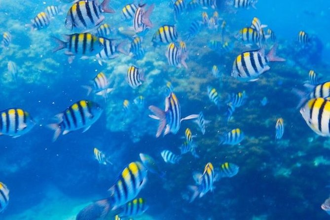 Private 3-Hour Snorkeling Tour With Arch Tour and Beach Time - Meeting Point Details