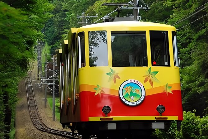 Private All Inclusive Family Tour to Takao Mountain With Prizes - Inclusions