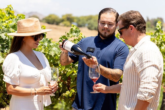 Private All-Inclusive Tour With Tasting and Lunch in Paso Robles - Unique Wineries to Explore