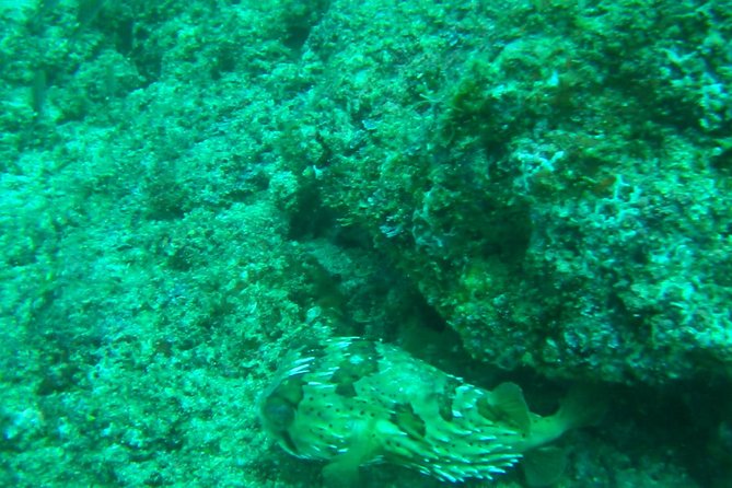 Private Bahia De Banderas South Beaches Adventure - Whats Included