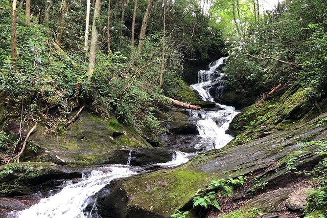 Private Boutique Blue Ridge Parkway Full Day Tour - Discovering the Wonders of Craggy Gardens