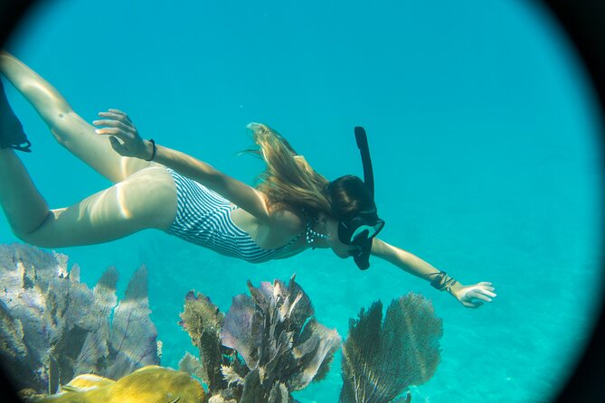 Private Charter 6 Passenger Review: An Adventure Awaits - Sandbar Visit and Snorkeling Adventure