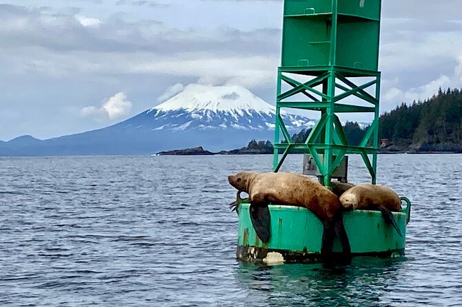 Private Charter Scenic Wildlife Excursion for Cruise Passengers - Meeting Details and Itinerary