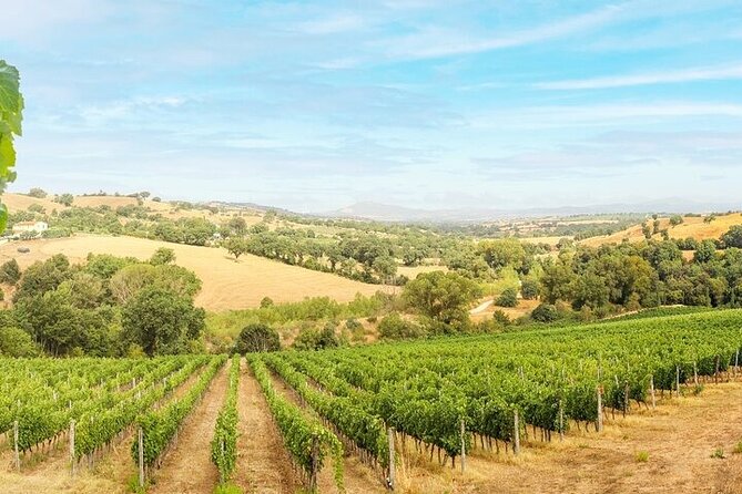 Private Chianti Winery Tour From Livorno With Pick up and Drop off - Itinerary Overview