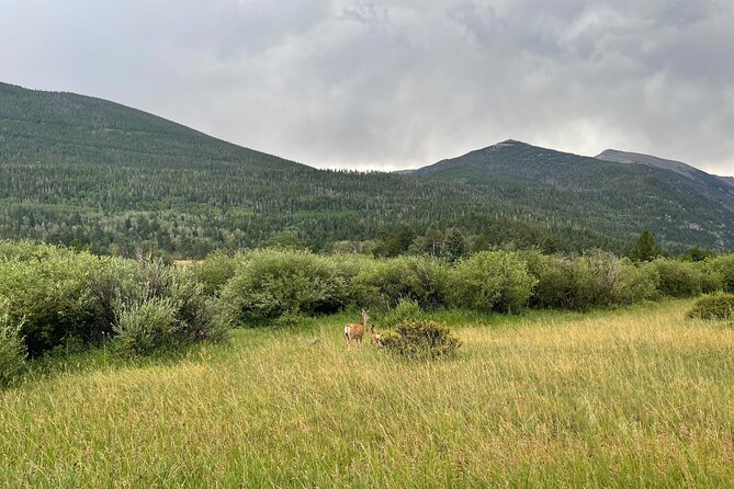 Private City Tour in Denver With Transfer - Tour Experience and Inclusions