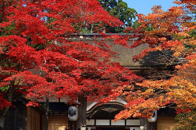 Private Customizable Tour in Wakayama - Vehicle Capacity and Pricing