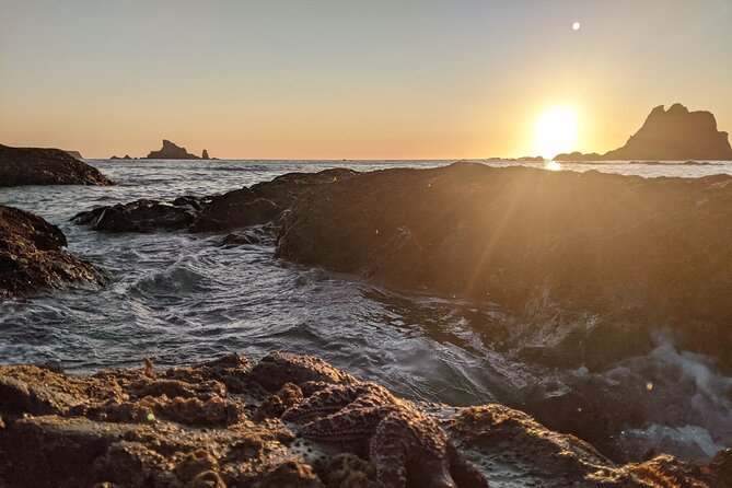 Private Day Hike - Rialto Beach Review - Guided Expertise and Amenities
