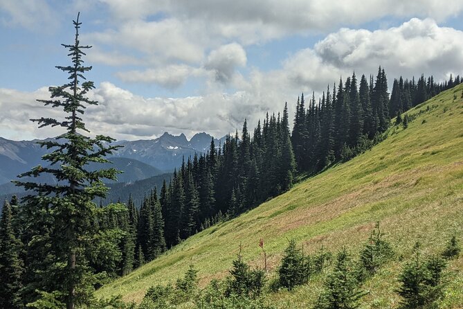Private Day Hike to Maiden Peak (6-8 Hours) - Meeting Point and Logistics