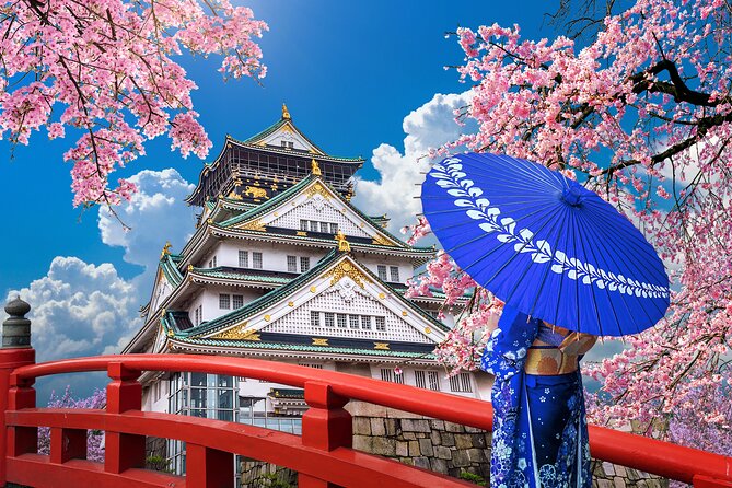 Private Day Tour in Osaka and Kyoto With Charter Car - Pickup and Communication
