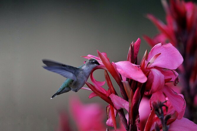 Private Day Tour in Yerette the Home of Hummingbird - Itinerary Highlights