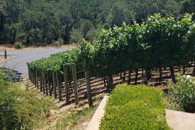 Private Day Tour: Napa Valley Wine Tasting From San Francisco - 6hrs - Customizable Itinerary