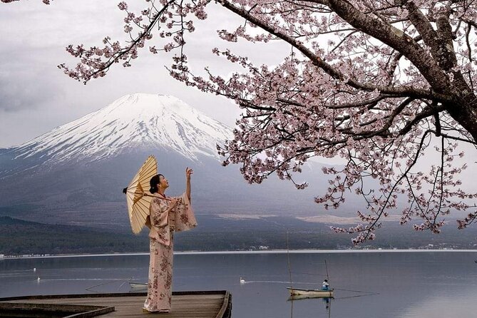 Private Day Tour to Nikko City With English Speaking Driver - Pickup and Meeting Details