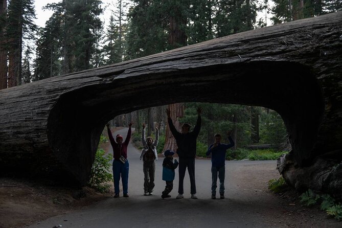 Private Day Tour to Sequoia and Kings Canyon Parks From LA - Customer Experiences