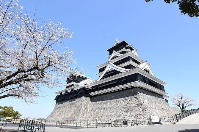 Private Day Trip to Kumamoto & Asakura From Fukuoka With Minibus - Transportation Details