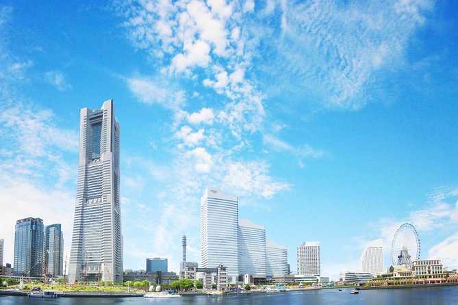 Private Departure Transfer : Yokohama City to Haneda Airport - Vehicle and Baggage Allowance