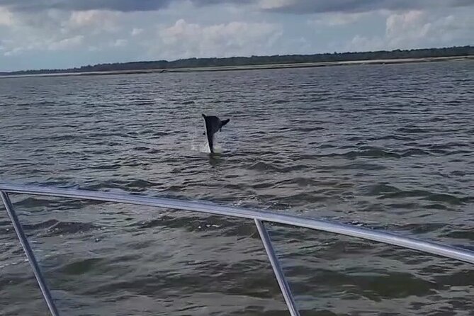 Private Dolphin Boat Tour in Hilton Head Island - Highlights of the Guided Experience