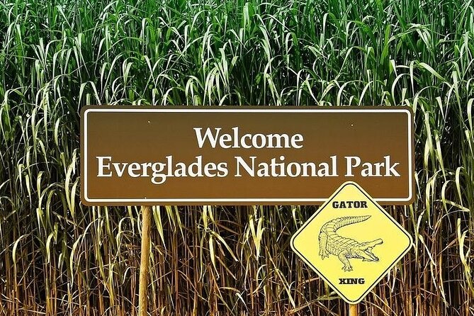 Private Everglades Tour Review: An Unforgettable Experience - Airboat Adventure: Gliding Through the Wetlands