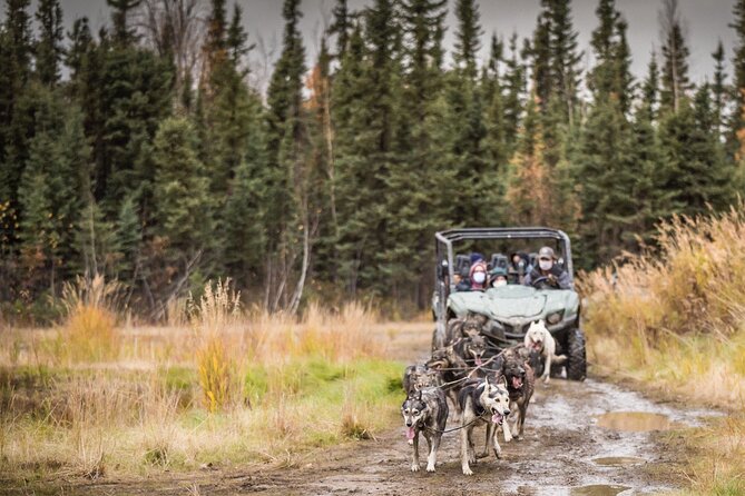 Private Fall Foliage Mushing Cart Ride in Fairbanks - Accessibility and Safety