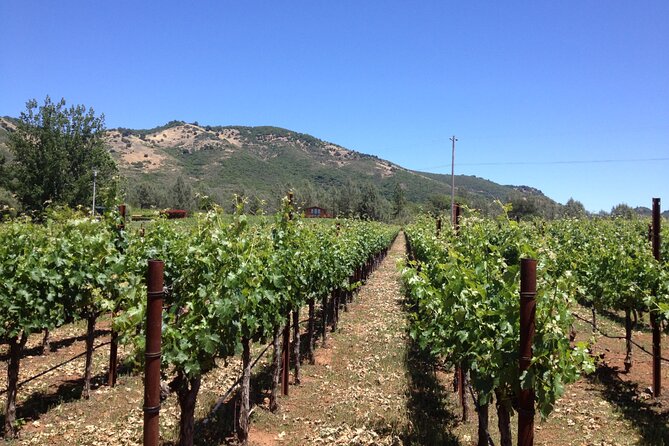 Private Fredericksburg Winery Transfer - Memorable Winery Experiences