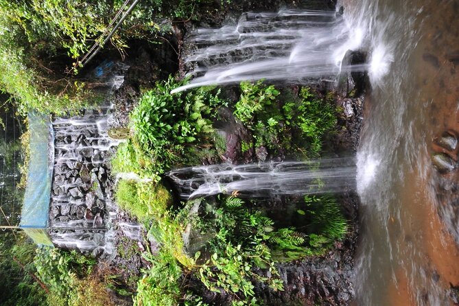Private Full-Day Guided Tour in Mount Fuji Lakes - Highlights of the Tour