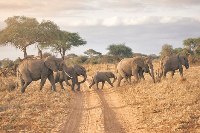 Private Full-Day Tarangire National Park Tour From Arusha - Inclusions and Exclusions