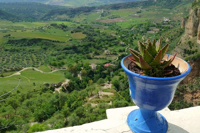 Private Full-Day Tour of Ronda From Marbella With Hotel Pick up - Inclusions and Amenities