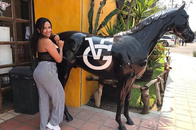 Private Full-Day Trip to Chapala and Ajijic From Guadalajara - Transportation Details