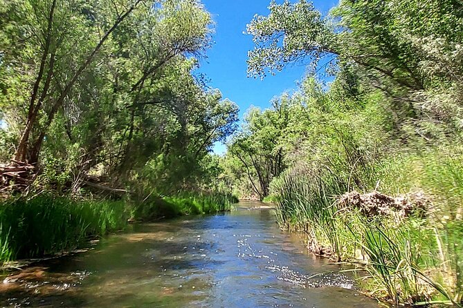 PRIVATE GUIDED River Kayaking the Verde River With 4x4 UTV RIDE - Taking in Nature