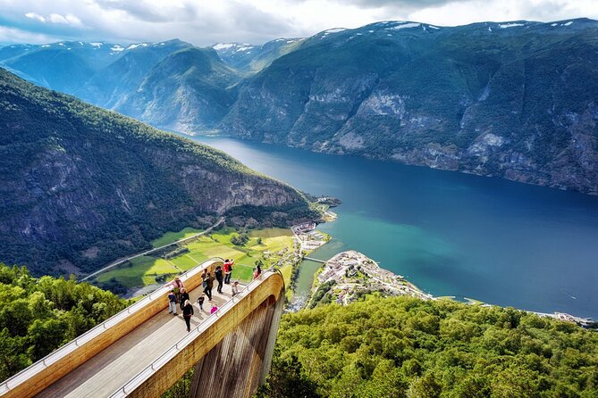 Private Guided Tour - Premium Nærøyfjord Cruise and Flåm Railway - Inclusions and Amenities