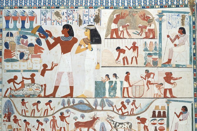 Private Guided Tour to Habu Temple, Valley of the Queens and Deir El Madina - Inclusions and Amenities