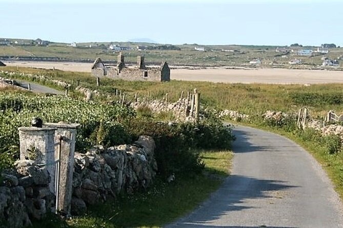 Private Guided Walking Tour of Omey Island in Connemara - Tour Schedule