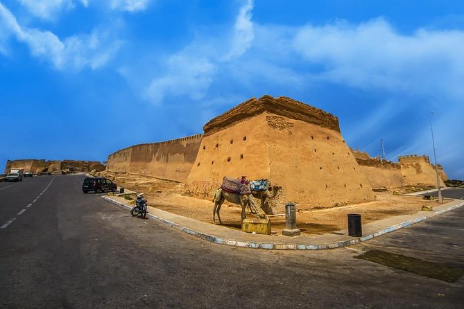 Private Half Day City Tour of Agadir - Pickup Options