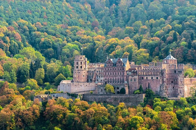 Private Half-Day Heidelberg Tour From Frankfurt - Transportation Details