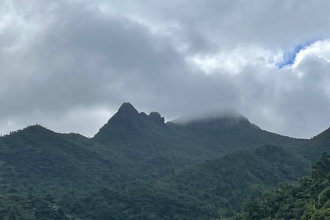 Private Half-Day Tour to El Yunque Rainforest - Tour Requirements
