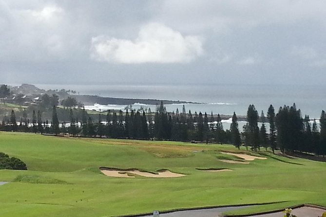 Private Hana, Ocean, Turtle Town, Winery Tour of Maui - Pricing and Inclusions