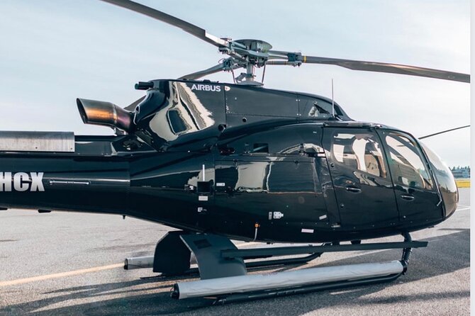 Private Helicopter Airport Transfers From Tampere City Center to Helsinki - Inclusions