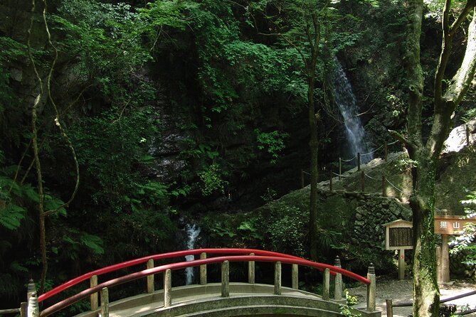 Private Hiking Activity Near Tokyo - Health and Accessibility