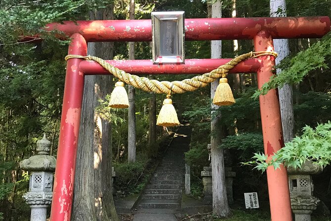 Private Hiking Tour to View Mt. Fuji - Inclusions