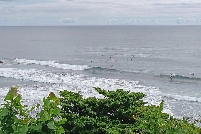 Private Hilo Shore Excursion Review - Group Size and Pricing