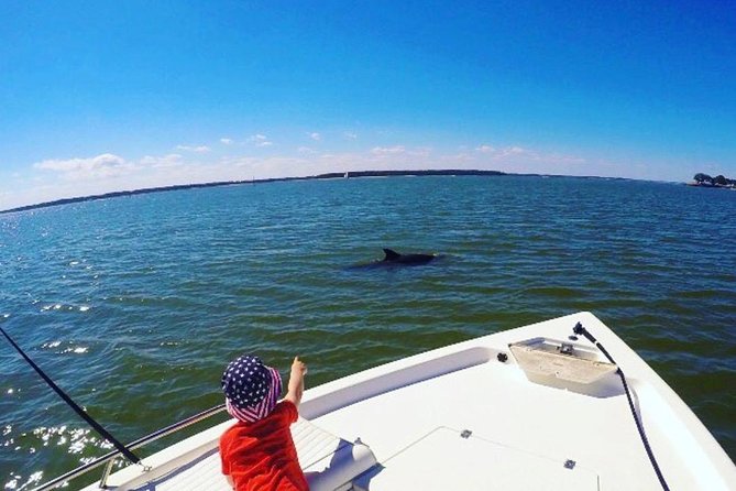 Private Hilton Head Dolphin Tour - Dolphin Sightings and Behavior