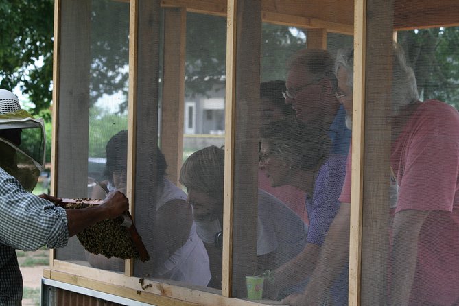 Private Hive Tour Review: A Sweet Experience - The Honey Tasting Experience