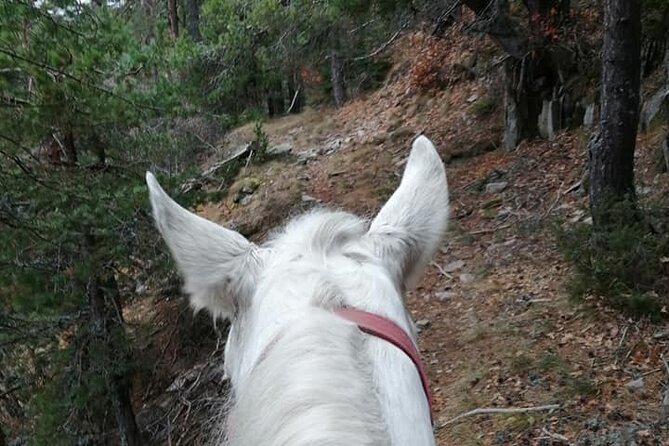 Private Horseback Riding Adventure to Red Rock in Smolyan - Mastering Horseback Riding Techniques