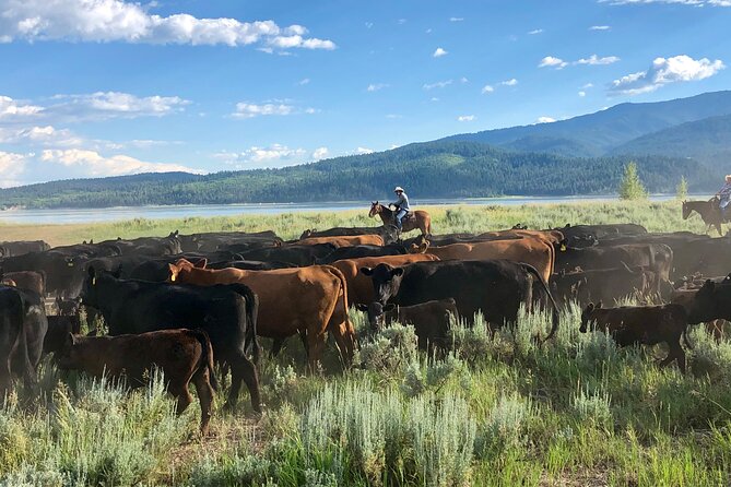 Private Horseback Riding in Wyoming Review - Participant Suitability