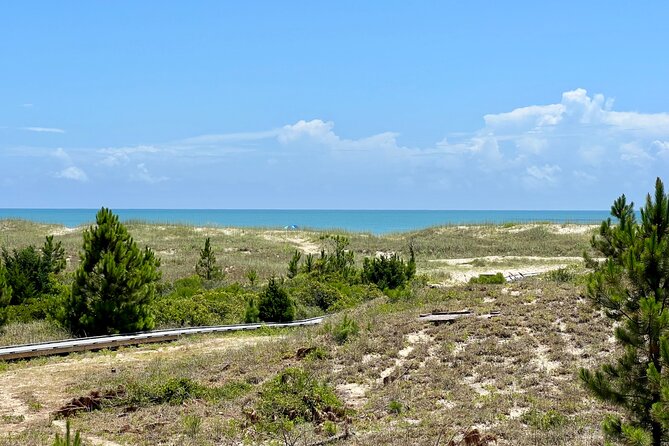 Private Island Eco Tours Review: An Adventure Awaits - Meeting and Pickup