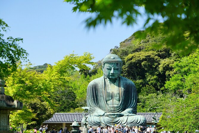 Private Kamakura and Enoshima Day Tour From Tokyo - Tour Features