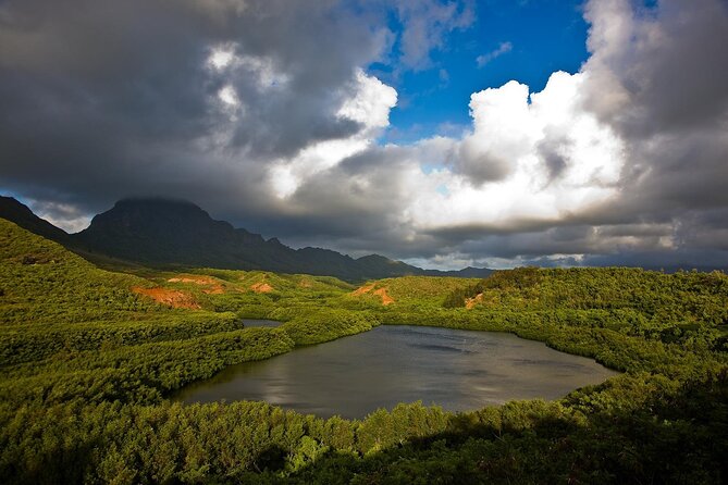 Private Kauai Eastside & Waterfalls Tour. Short & Sweet (5 Hrs) - Itinerary Overview