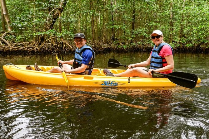 Private Kayaking Los Haitises National Park From Sabana De La Mar - Kayaking Experience Highlights